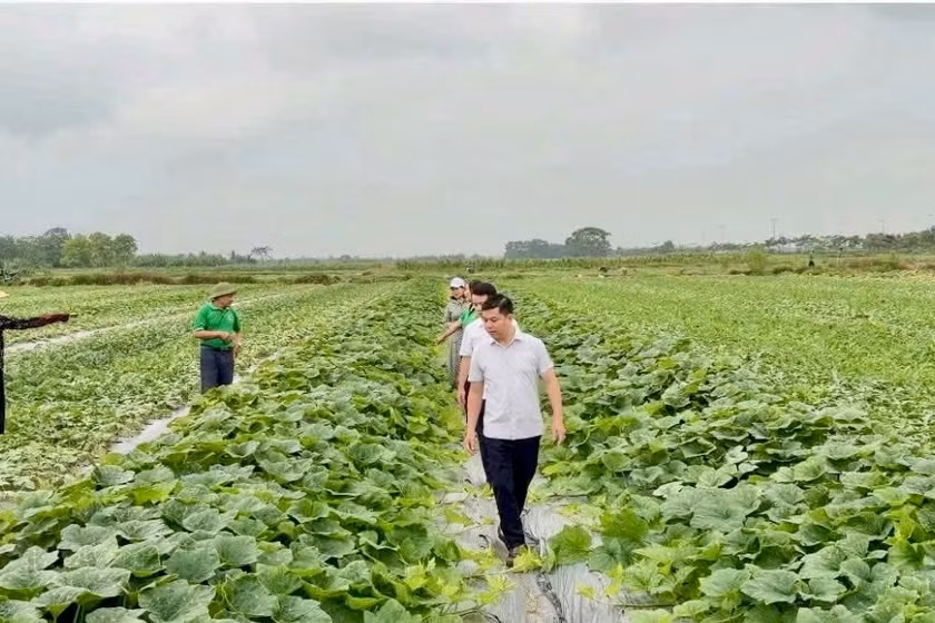 Bốn giải pháp phát triển khoa học công nghệ các tỉnh miền núi phía Bắc