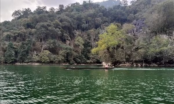 Siết chặt quản lý, bảo vệ hơn 10.000 ha rừng tại Vườn Quốc gia Ba Bể