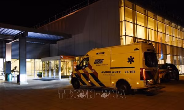 Hà Lan cách ly 12 nhân viên y tế do không tuân thủ quy trình chăm sóc bệnh nhân nhiễm virus Hanta