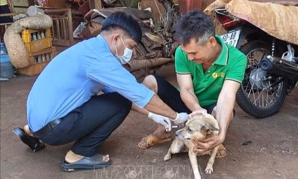 Thay đổi tập quán, giảm nguy cơ bệnh dại