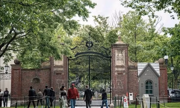 Tổng thống D.Trump yêu cầu Đại học Harvard bồi thường 1 tỷ USD