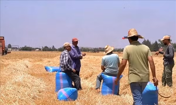Sóng ngầm ngoại giao Ukraine - Israel bắt nguồn từ tàu chở ngũ cốc