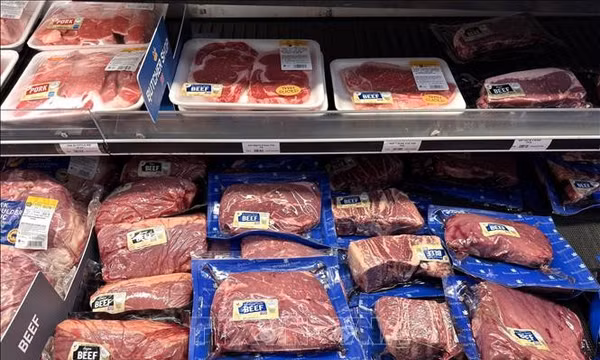 EU đình chỉ nhập khẩu thịt bò và gia cầm từ Brazil do lo ngại về an toàn thực phẩm