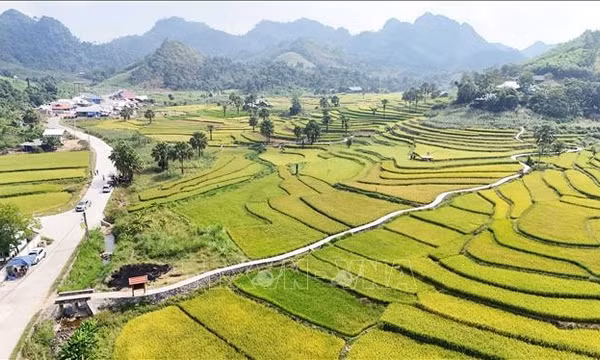 Rà soát tiêu chí, xây dựng lộ trình xây dựng nông thôn mới