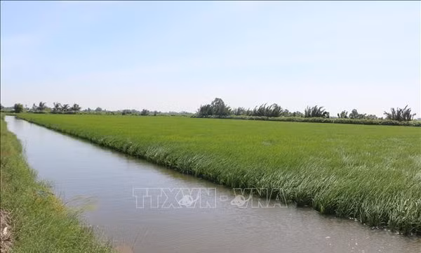 Nông nghiệp - 'điểm hẹn đã chín' cho hợp tác Việt Nam - Anh