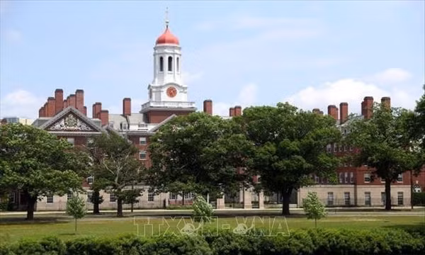 Harvard kiện Chính quyền Tổng thống Trump: Toàn cảnh vụ kiện chấn động nền giáo dục Mỹ