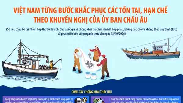 Việt Nam từng bước khắc phục các tồn tại, hạn chế theo khuyến nghị EC