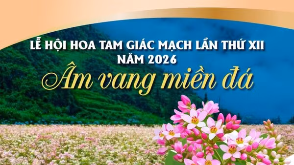 Lễ hội hoa tam giác mạch lần thứ XII năm 2026: 'Âm vang miền đá'