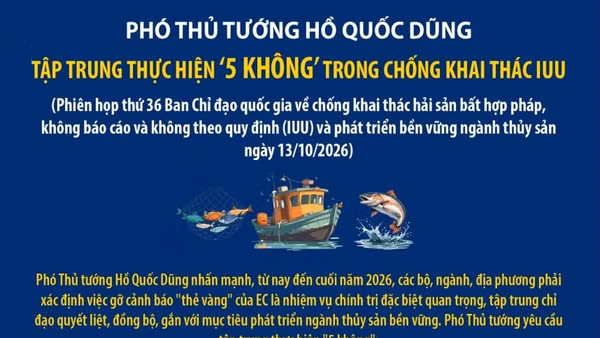 Tập trung thực hiện ‘5 không’ trong chống khai thác IUU