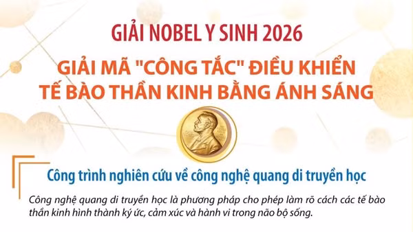 Giải Nobel Y sinh 2026: Giải mã 'công tắc' điều khiển tế bào thần kinh bằng ánh sáng