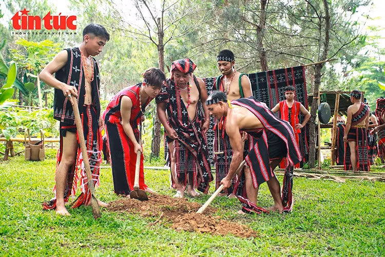 pt-0198.jpg