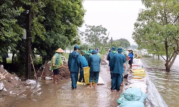 Nước sông Bùi dâng cao gây tràn đê: Hà Nội khẩn cấp ứng phó