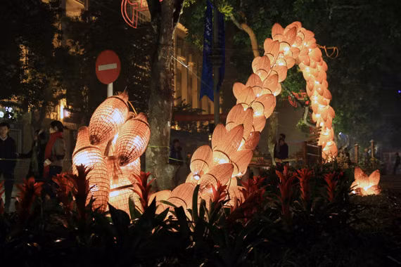 Lễ hội hoa HN 2012: Tan hội nhưng không nát hoa ảnh 4