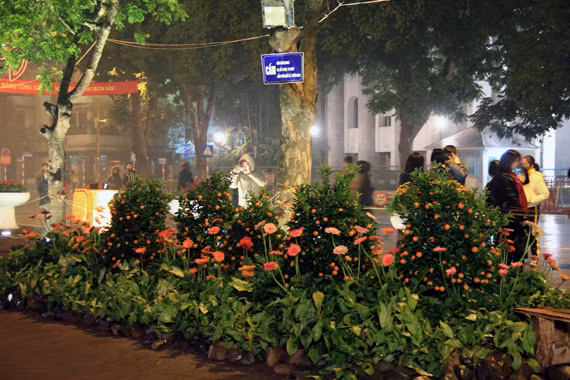 Lễ hội hoa HN 2012: Tan hội nhưng không nát hoa ảnh 8