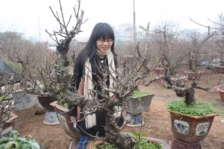 Đào Nhật Tân khoe sắc trong giá rét ảnh 10