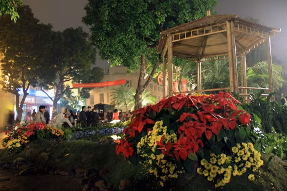 Lễ hội hoa HN 2012: Tan hội nhưng không nát hoa ảnh 7