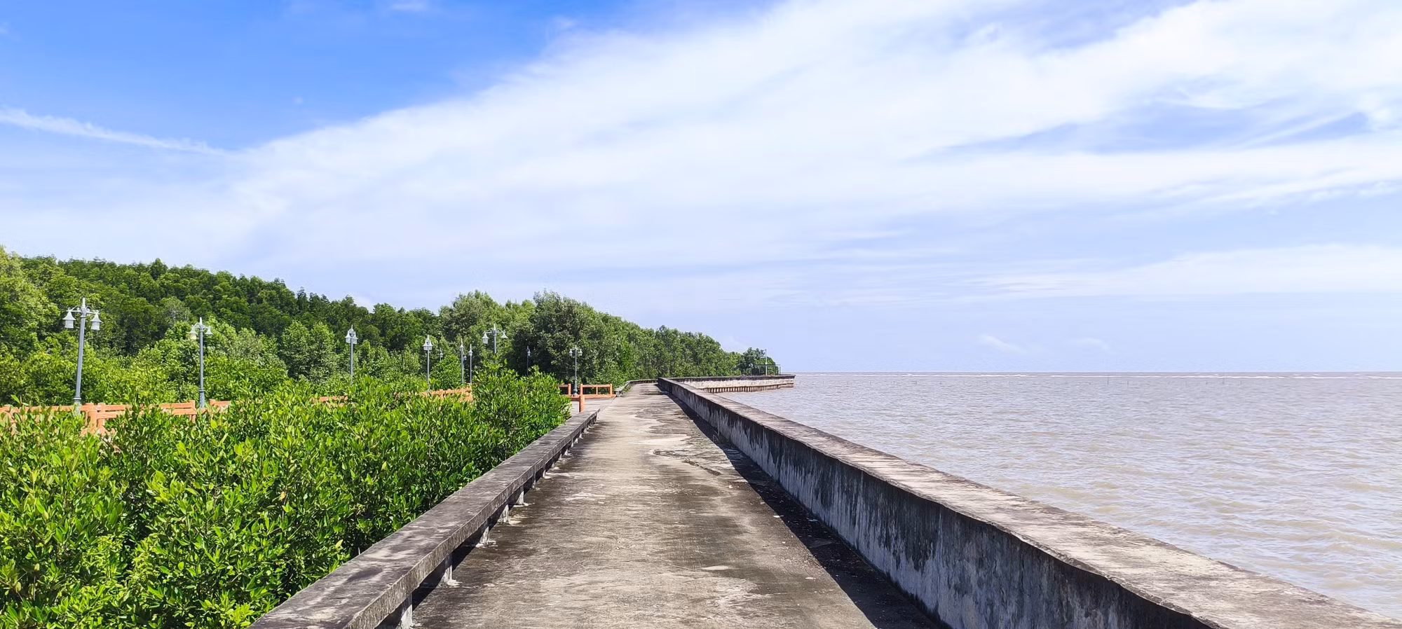 Xây dựng đê, kè và bảo vệ, trồng rừng ngập mặn là những giải pháp tổng thể, bền vững và hiệu quả đã và đang được tỉnh Cà Mau thực hiện.