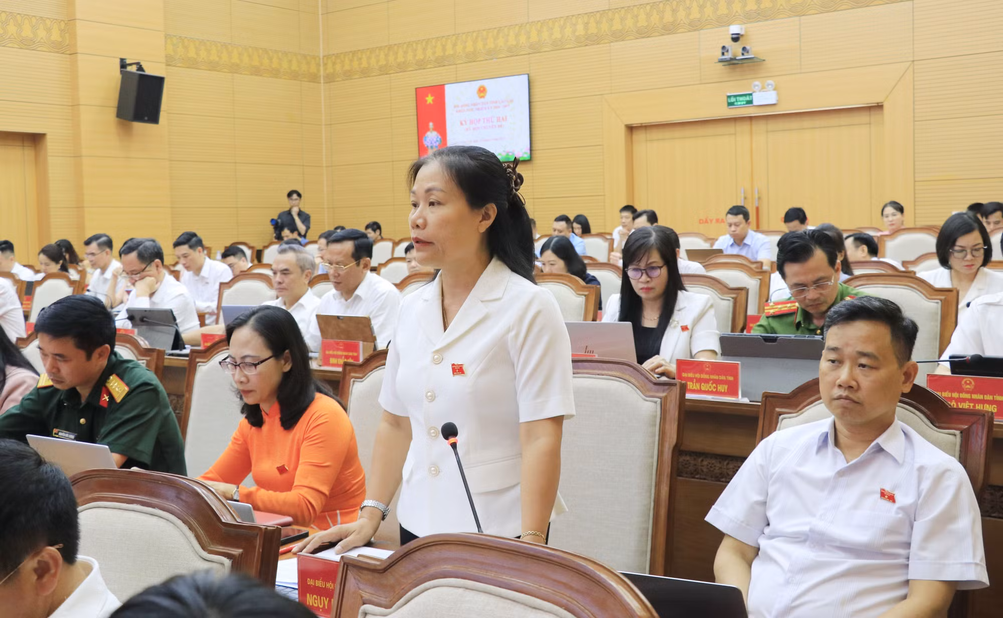 Đại biểu thảo luận tại kỳ họp. Ảnh: Đinh Thùy/TTXVN
