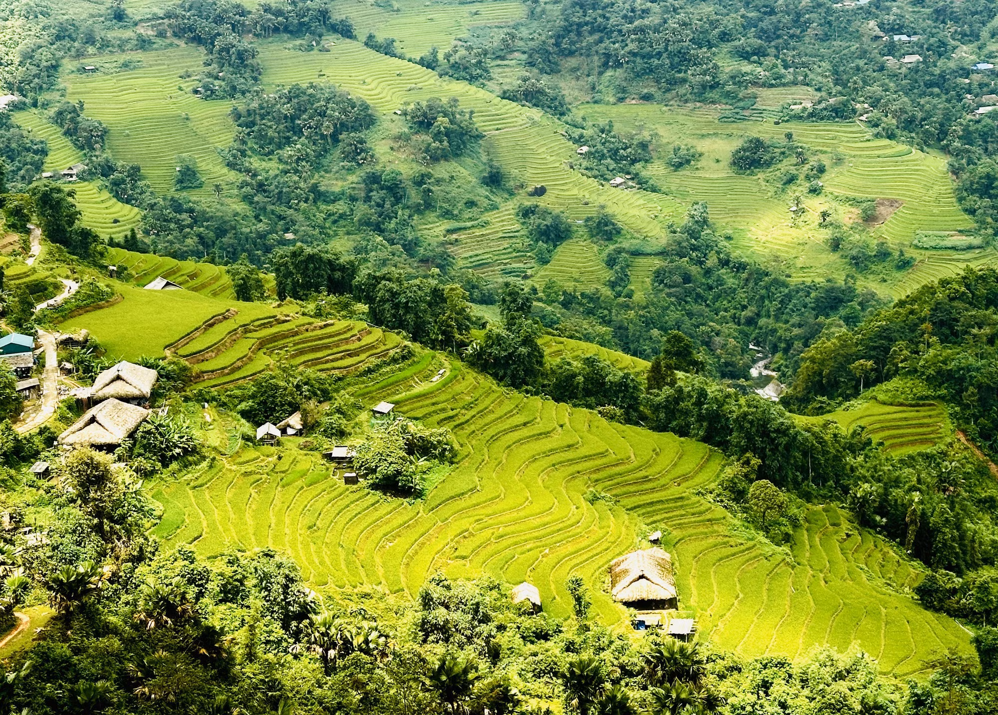 tay-con-linh-tuyen-quang-3.jpg