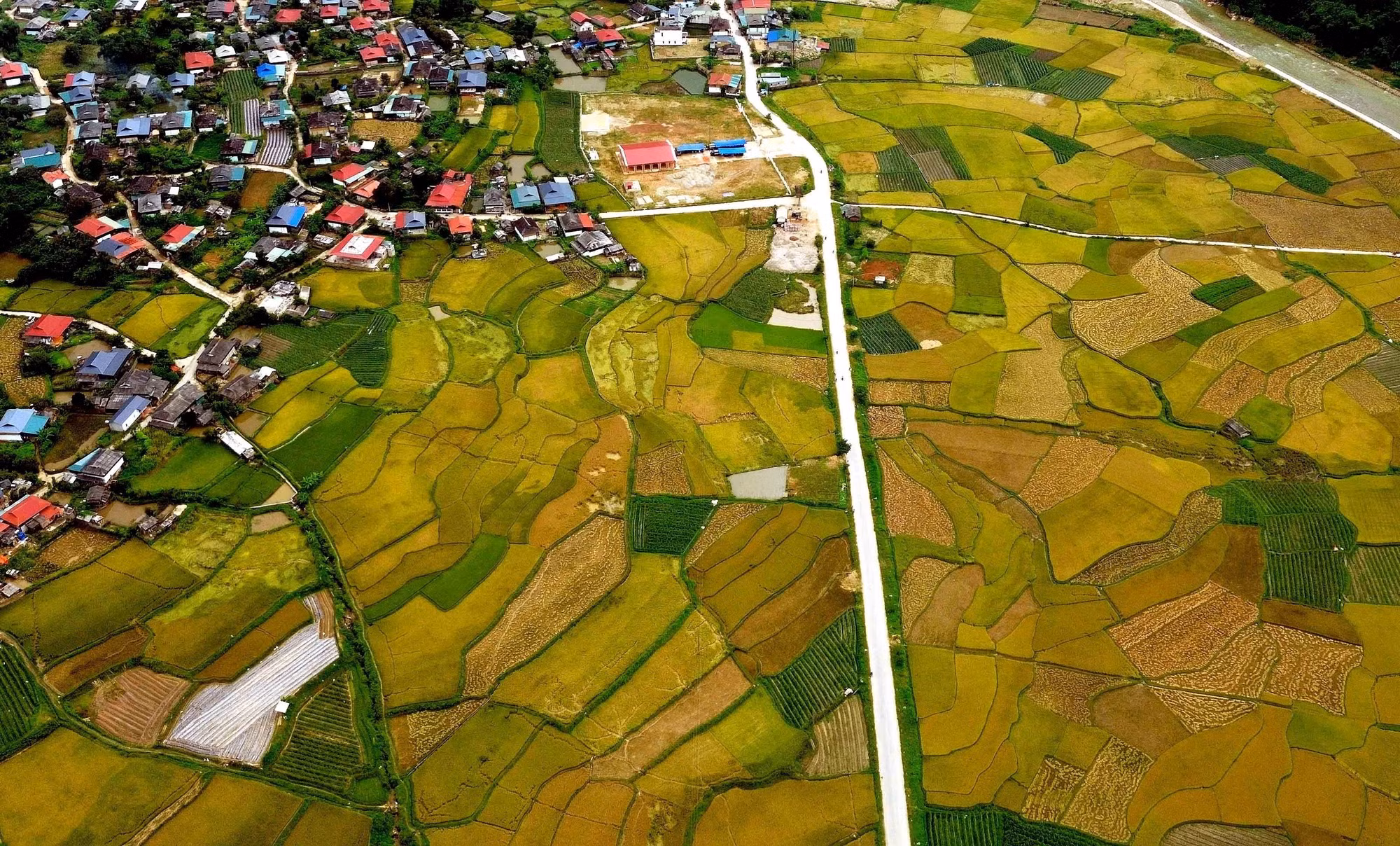 mua-vang-ngoc-chien.jpg