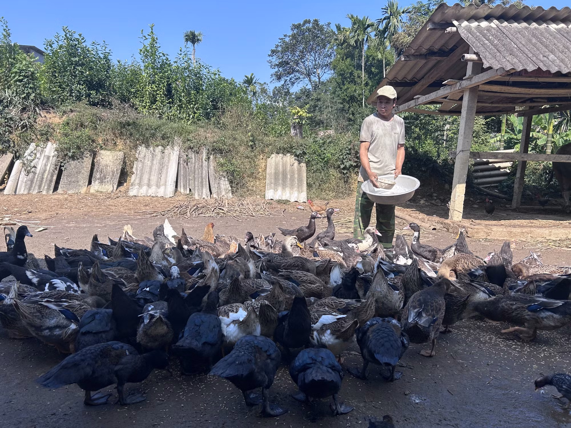 xa-nga-my-nghe-an-3.jpg
