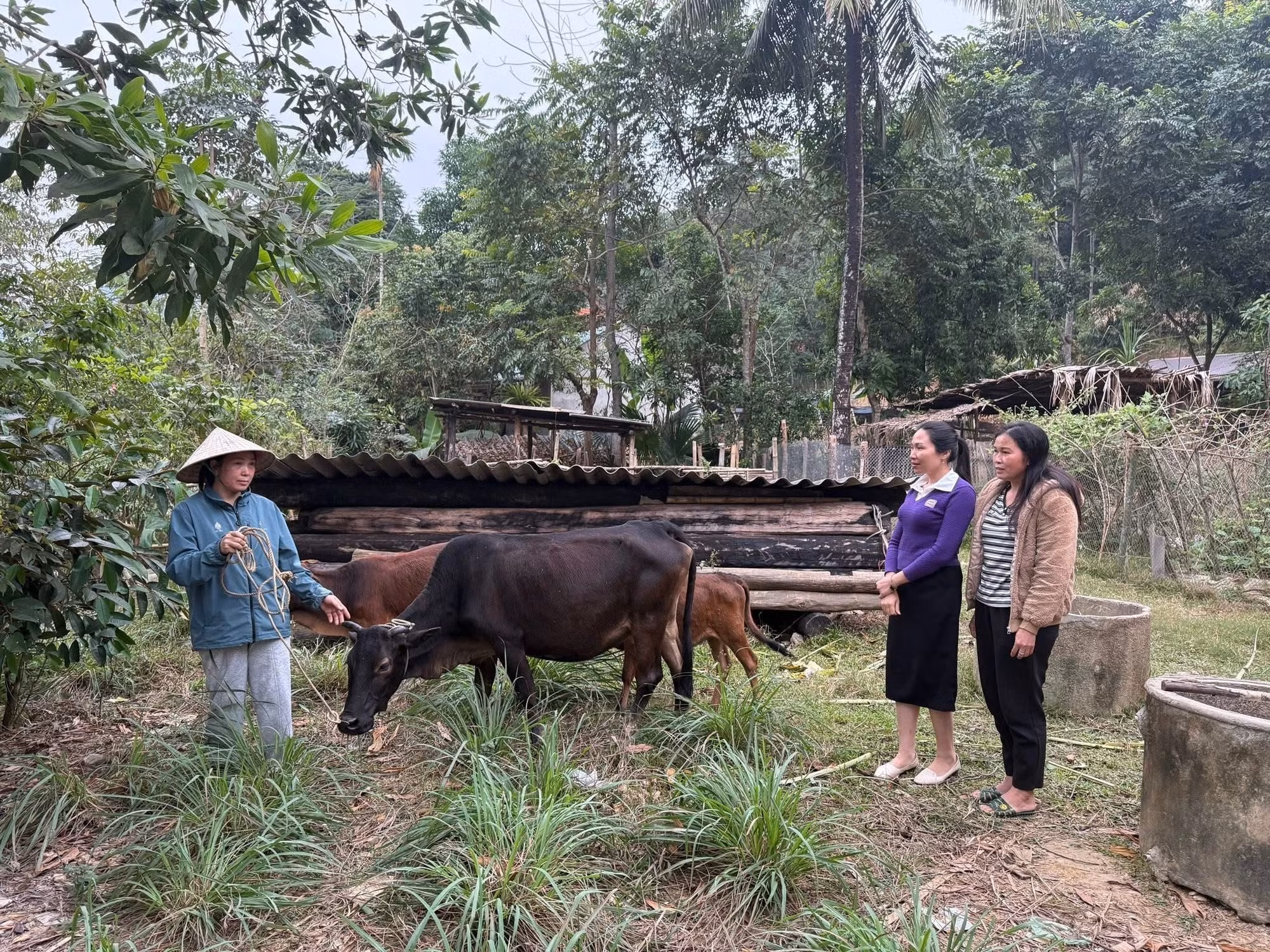 xa-nga-my-nghe-an-1.jpg