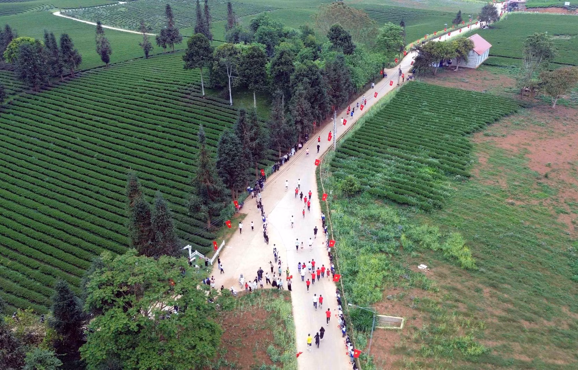 Cung đường tại giải chạy “Hành trình xanh Bình Thuận” năm 2026.