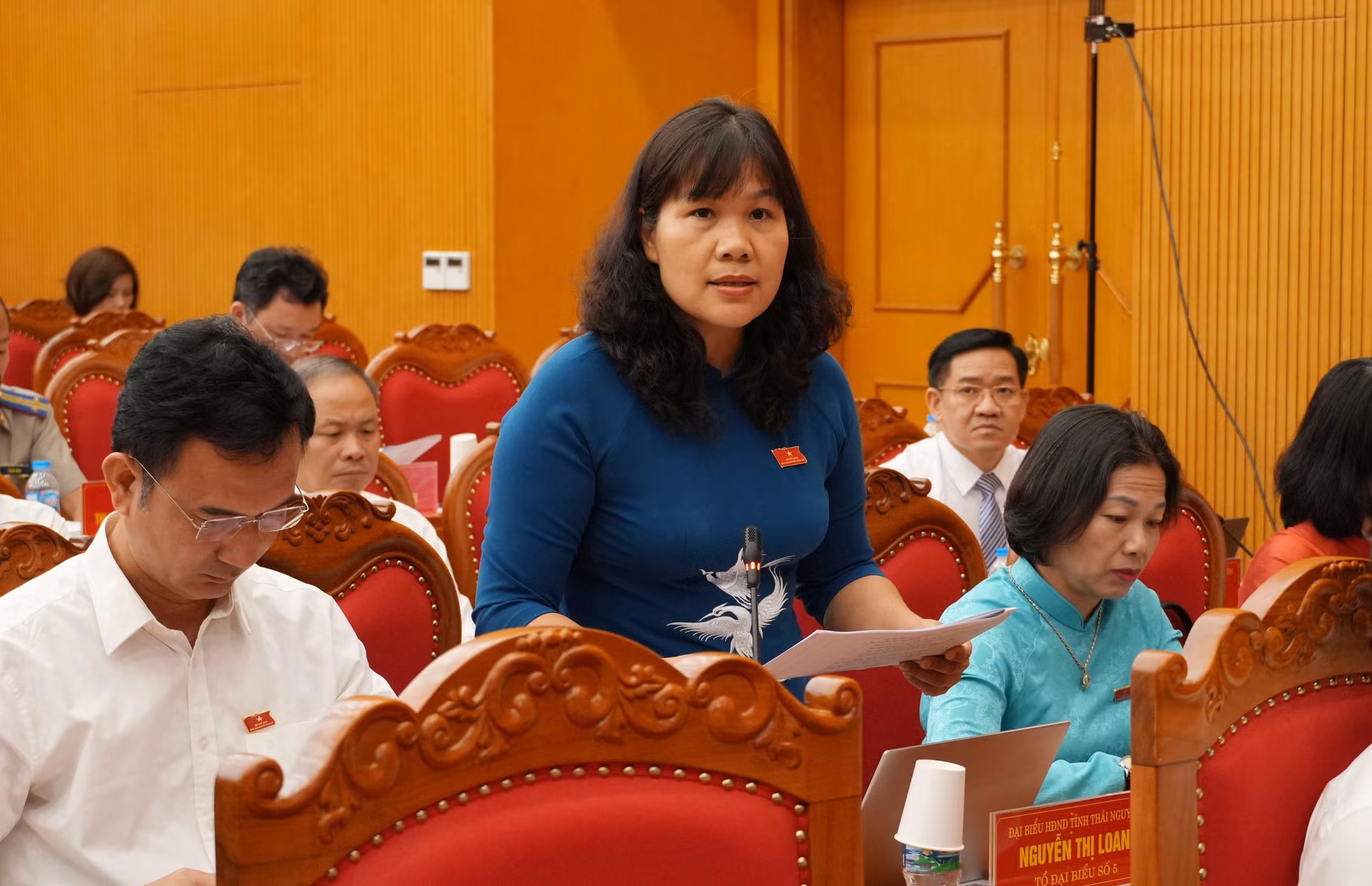 Đại biểu HĐND tỉnh thực hiện chất vấn tại Kỳ họp. Ảnh: Hoàng Nguyên/TTXVN