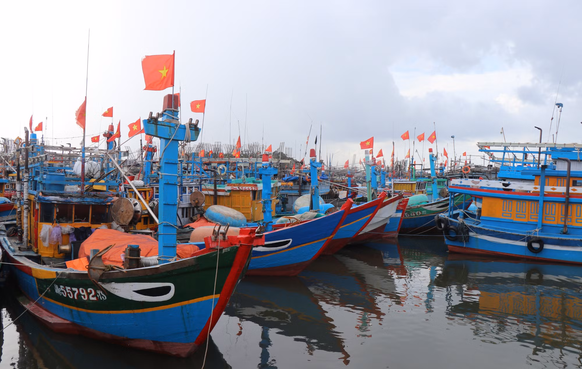 ung-pho-mua-lu.jpg
