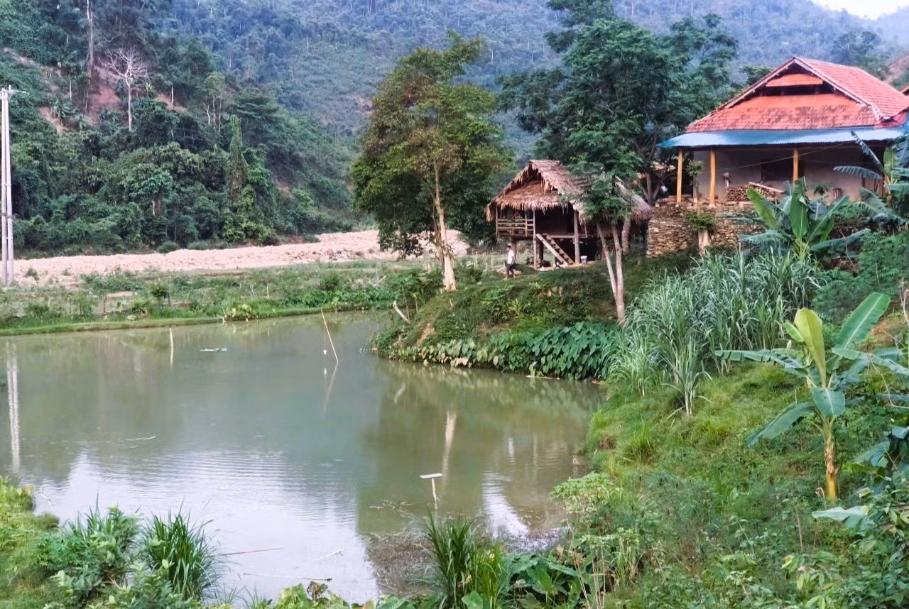 ban-na-ngan-nghe-an-12.jpg