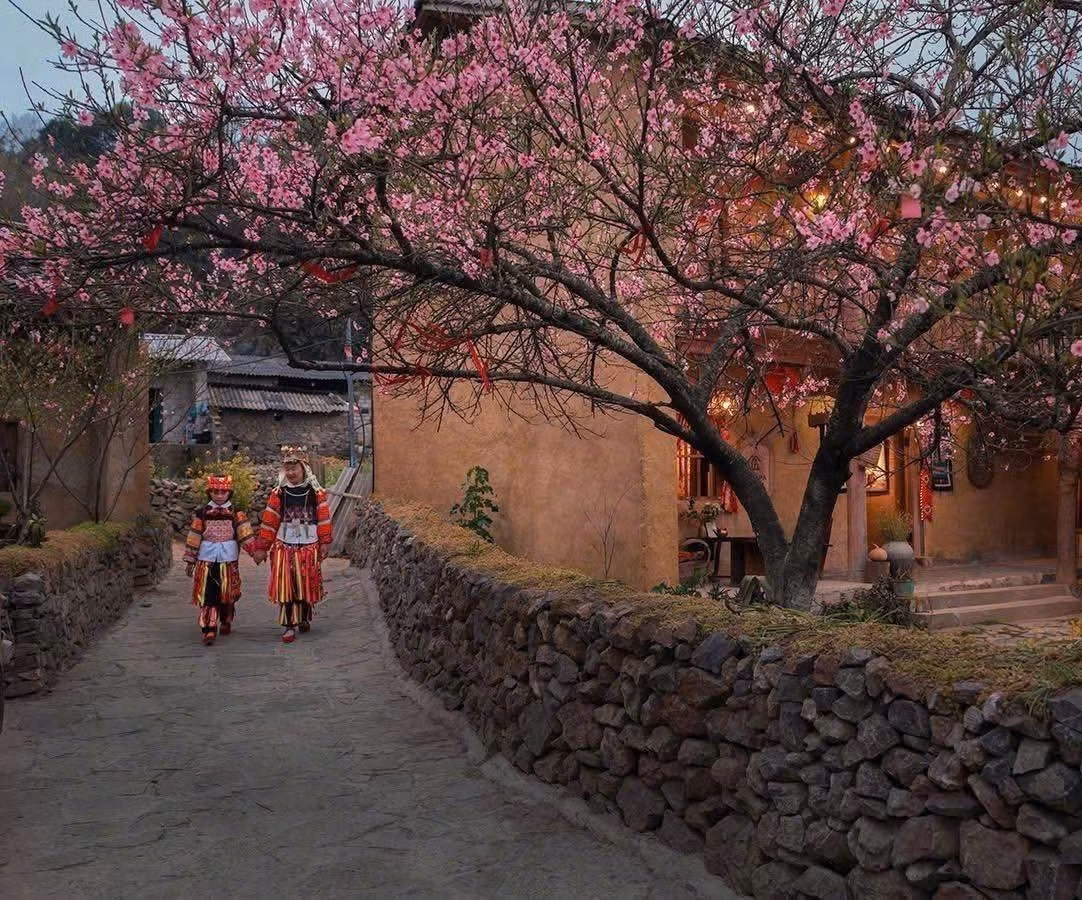 mai-anh-dao04-2512.jpg