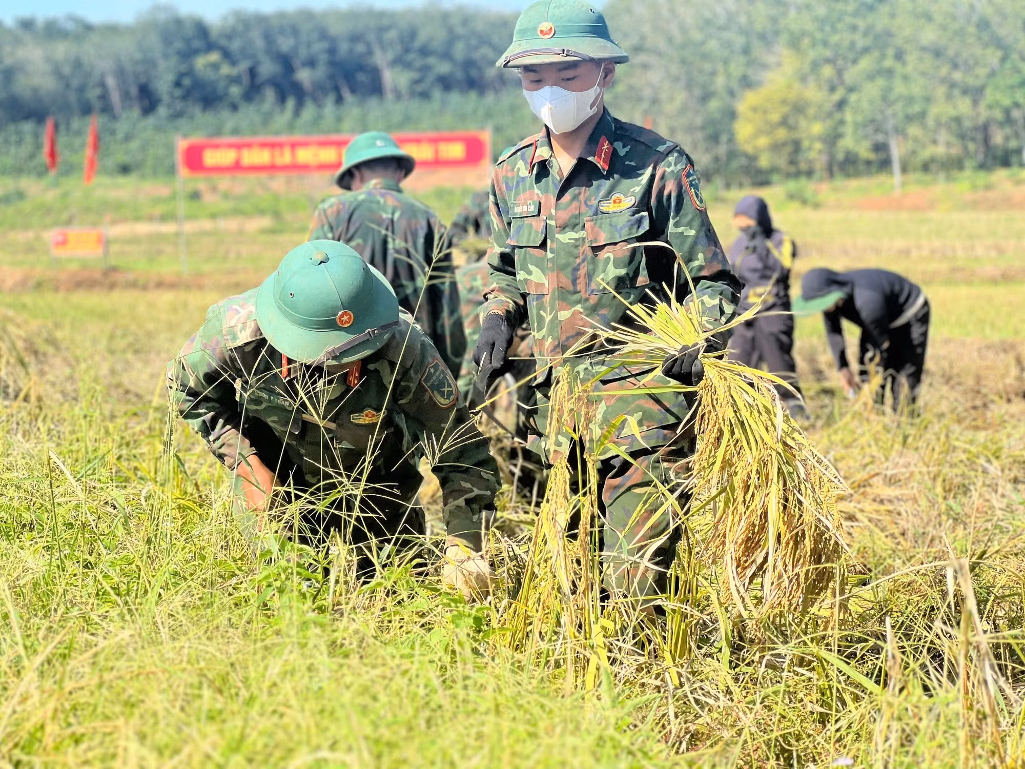 vung-bien-gia-lai-1.jpg
