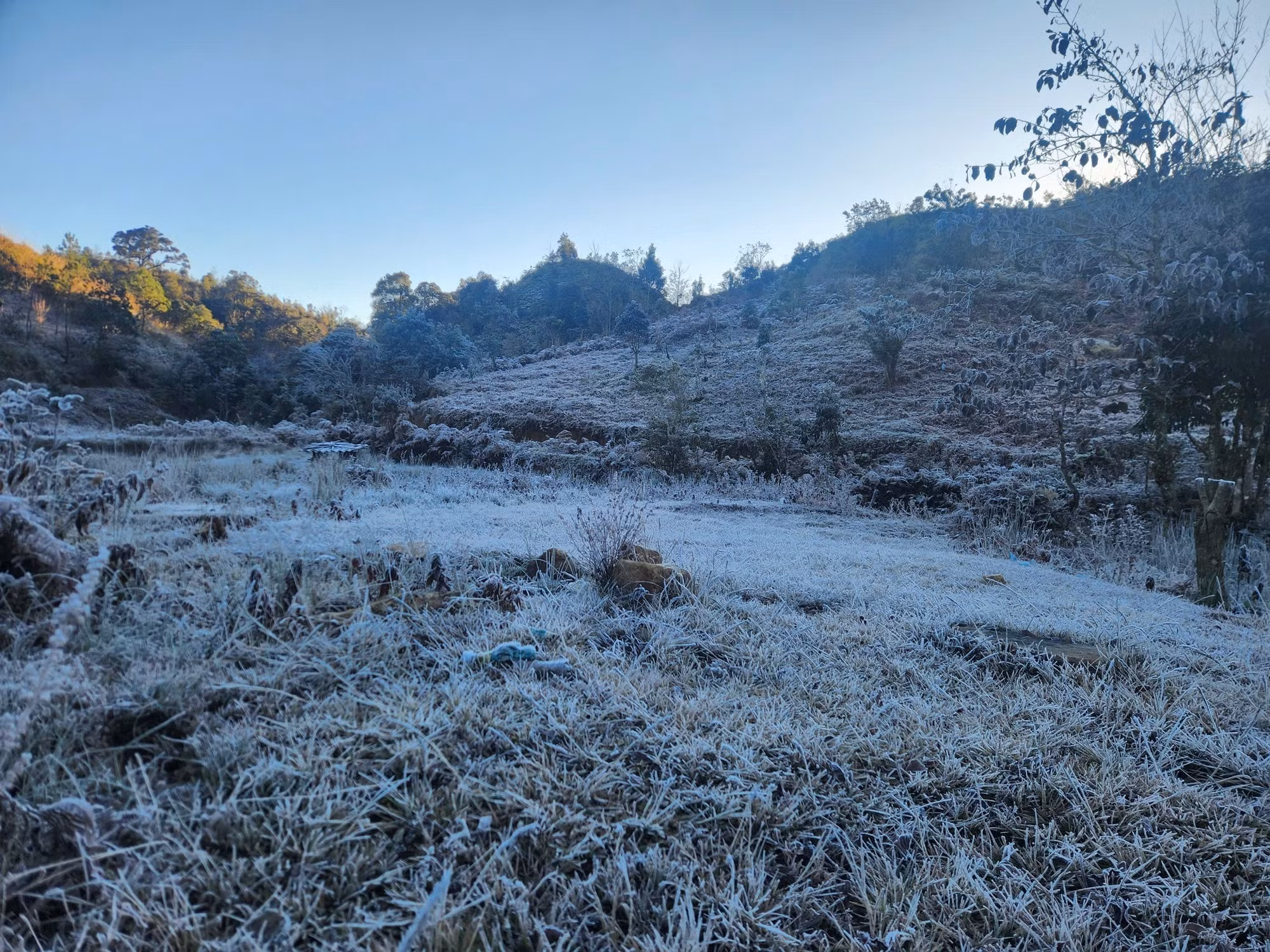 bang-gia-y-ty-lao-cai-3.jpg