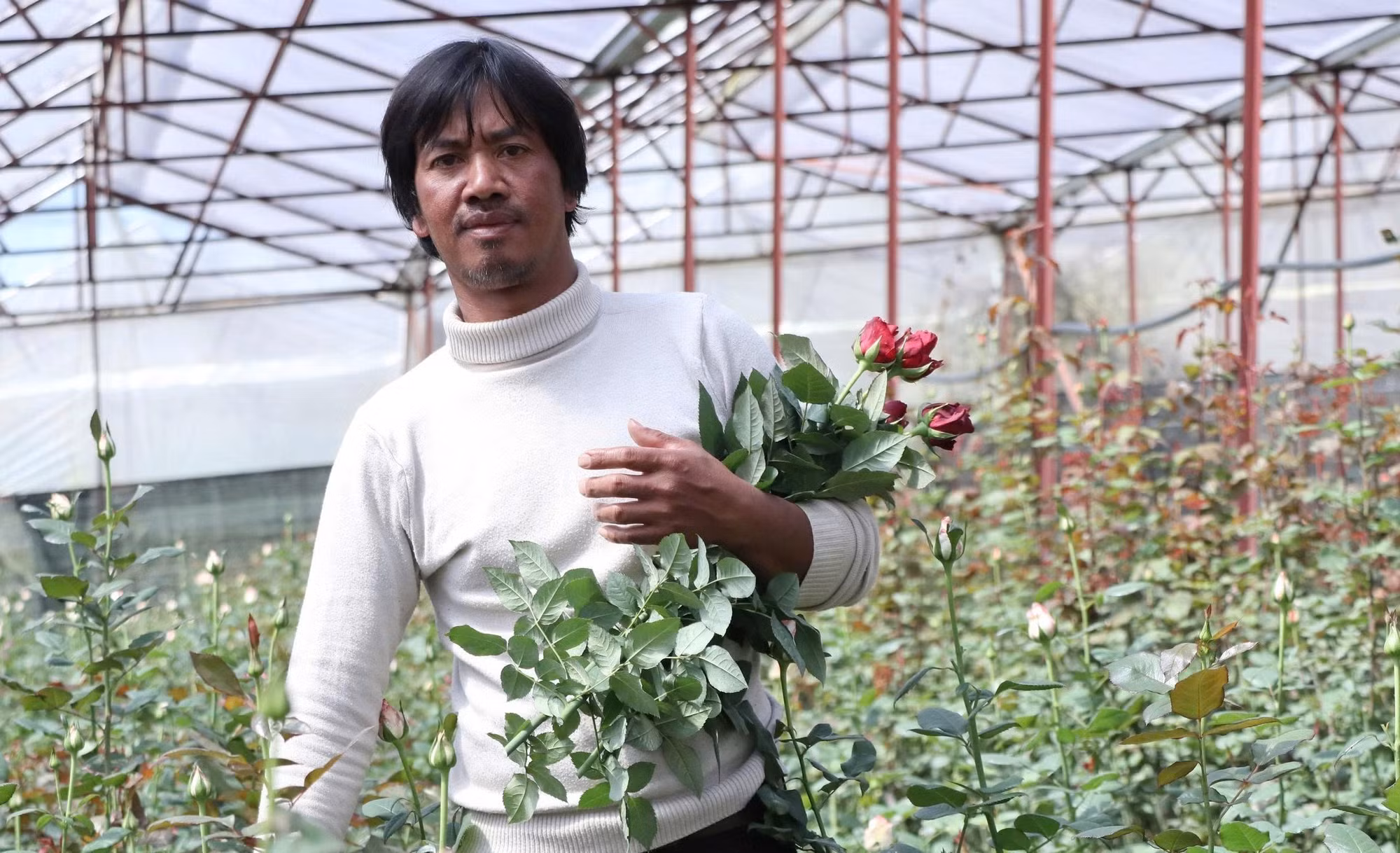 Gia đình anh Cil Ha Vit (39 tuổi, tổ dân phố Đankia, phường Lang Biang - Đà Lạt) thu nhập trên 10 triệu đồng/tháng từ vườn hoa hồng công nghệ cao.