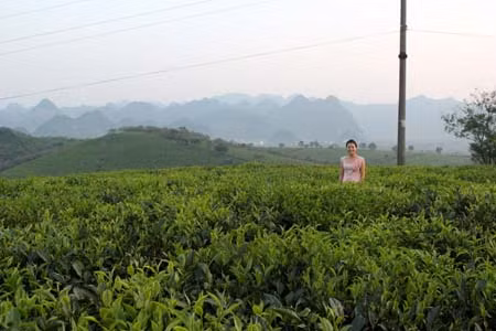 Du lịch Sơn La: Tìm hướng liên kết để đa dạng hóa sản phẩm ảnh 2