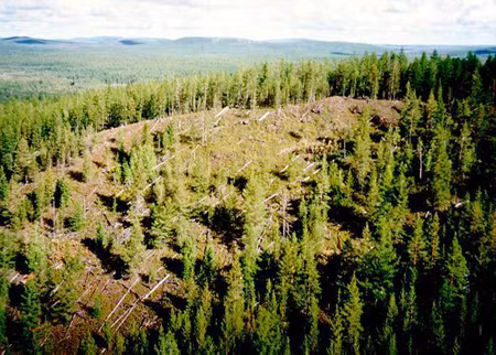 Bí ẩn vụ nổ gây chấn động Tunguska-Kỳ 2: Vụ nổ qua lời kể của nhân chứng ảnh 1