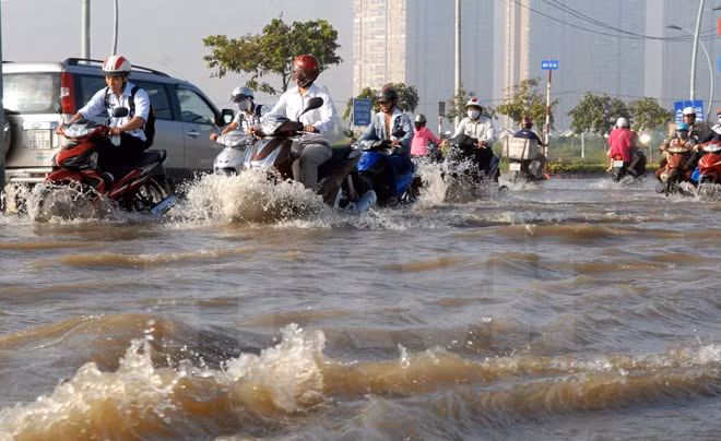 Triều cường gây ngập úng nhiều nơi tại Hậu Giang ảnh 1