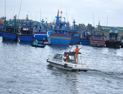 Bình Định chủ động phòng chống bão Hagupit ảnh 1