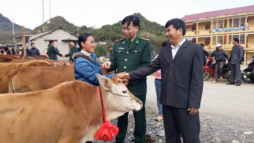 Tặng bò giống giúp bà con biên giới thoát nghèo ảnh 1