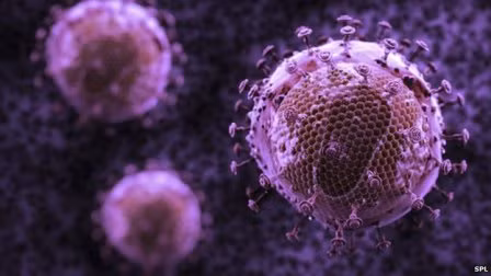 HIV chuyển sang 'dạng lành tính hơn' ảnh 1