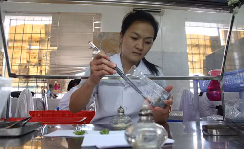Phát triển Khoa học công nghệ vùng Tây Nguyên:Hợp tác đồng bộ để phát triển ảnh 1
