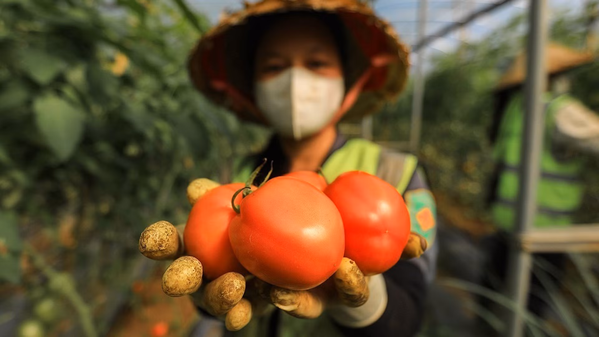Thực phẩm hữu cơ giá cao vẫn hút khách