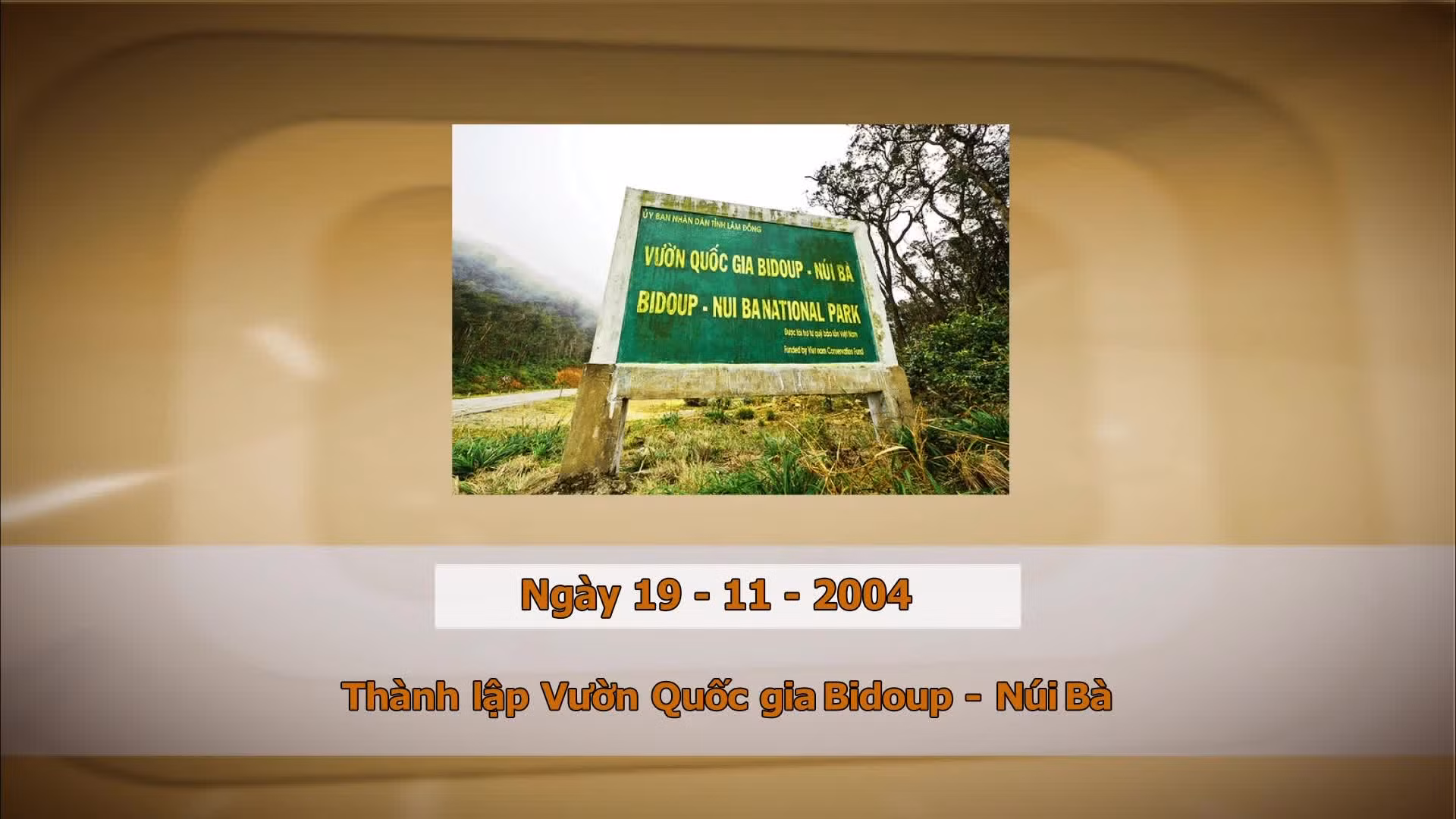 Khoảnh khắc & sự kiện ngày 19/11