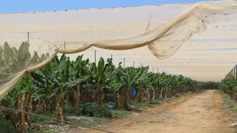 Tái cơ cấu nông nghiệp: Bài học từ Israel - Bài 1 ảnh 2