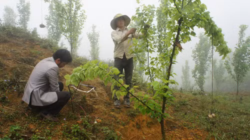 Có đường mới thông thương ảnh 2