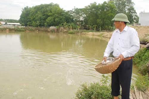 Người thương binh nặng vươn lên làm giàu ảnh 2