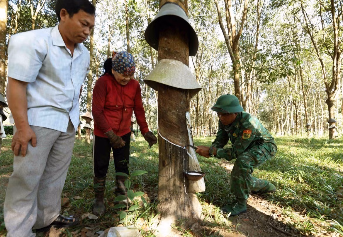 potal-66-nam-ngay-truyen-thong-bo-doi-bien-phong-viet-nam-bao-ve-toan-ven-lanh-tho-va-an-ninh-bien-gioi-quoc-gia-7879881.jpg