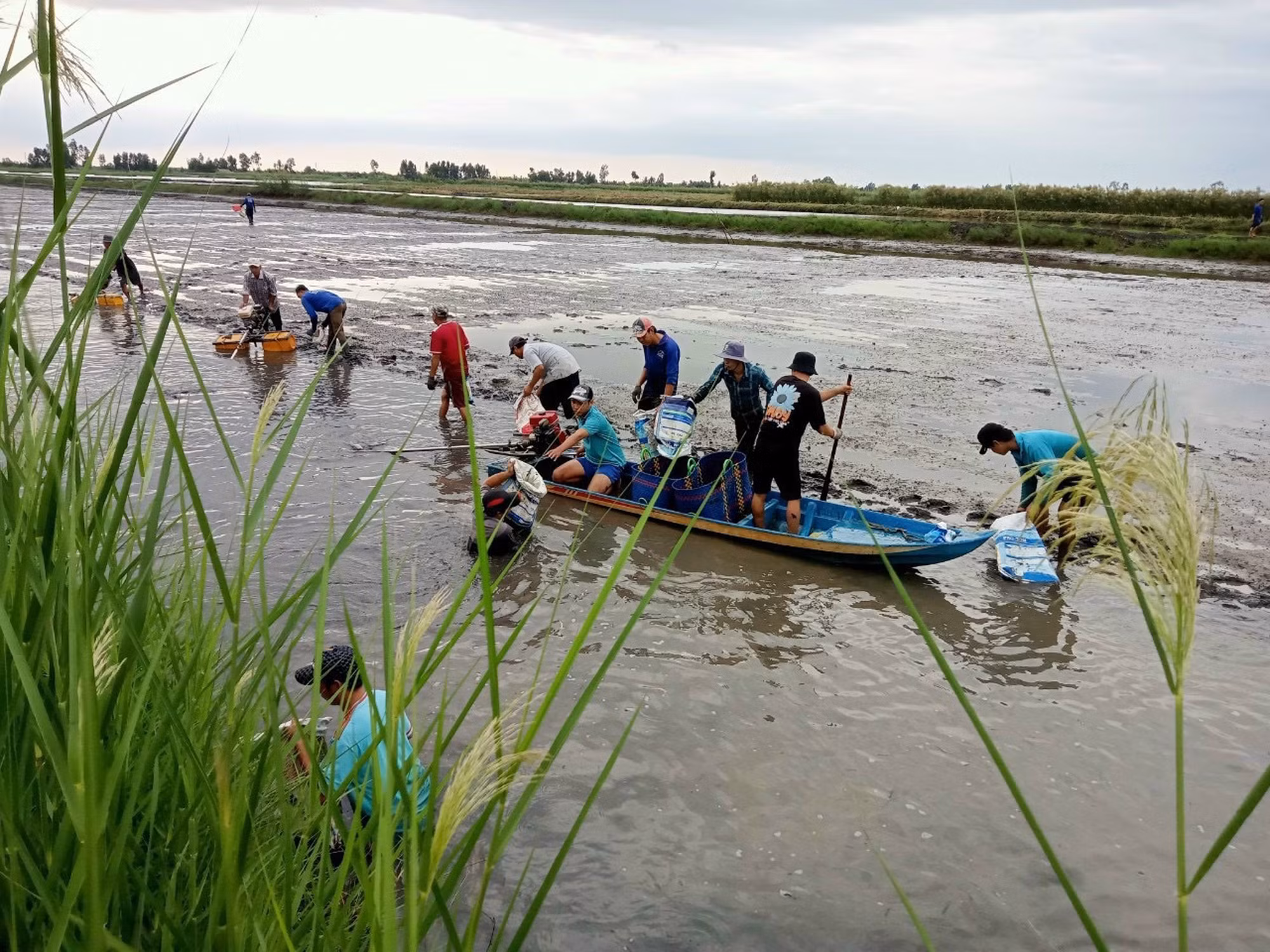 potal-nganh-nong-nghiep-bac-lieu-trien-khai-ke-hoach-nam-2025-7798612.jpg