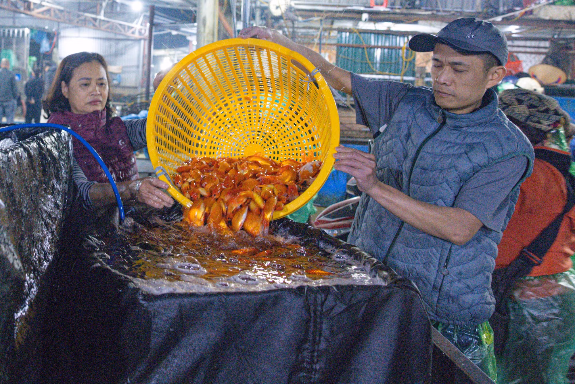 potal-van-hoa-soi-duong-cho-ca-yen-so-nhon-nhip-ngay-ong-cong-ong-tao-7818779.jpg