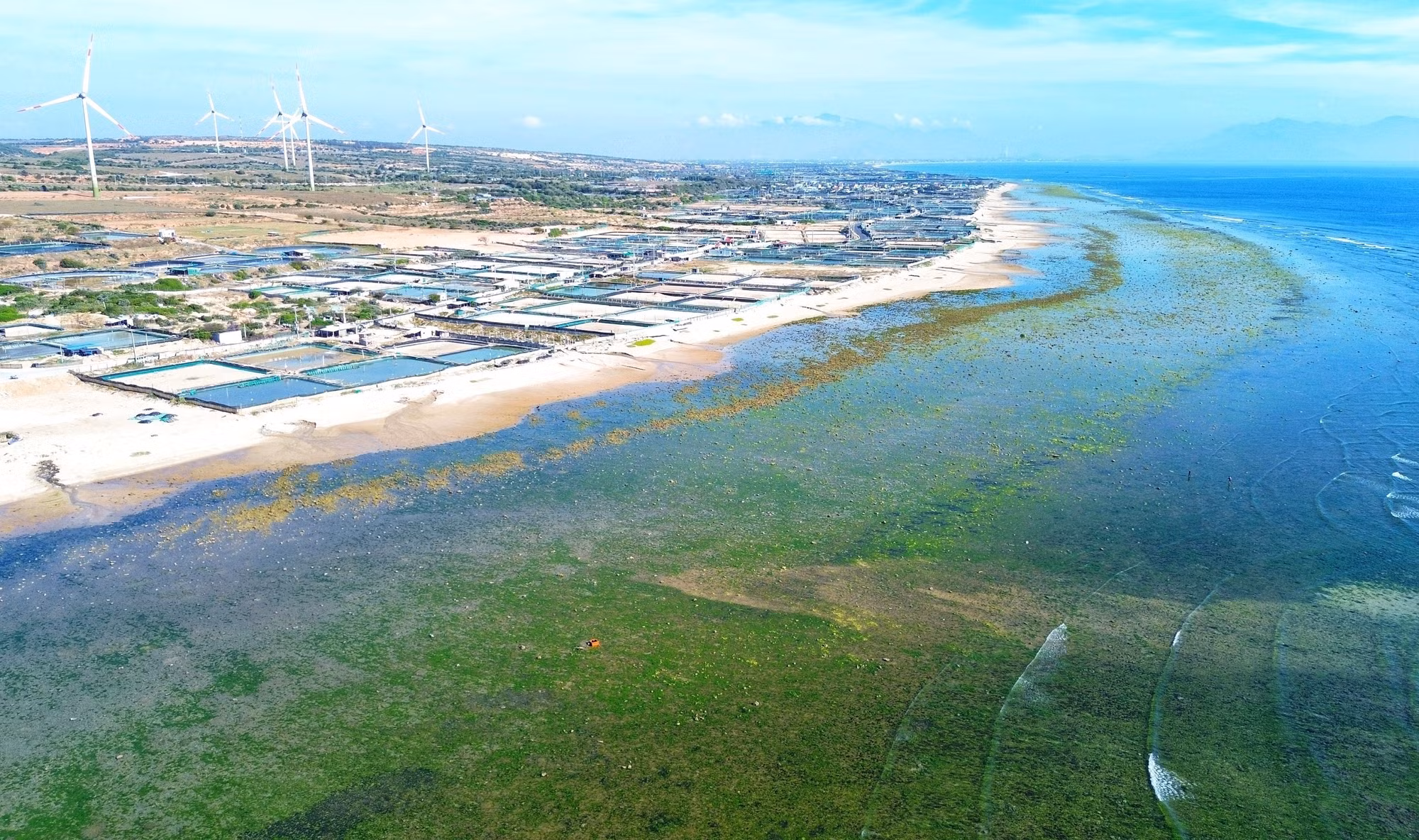 potal-ve-dep-canh-dong-rong-bien-o-ninh-thuan-7886992.jpg
